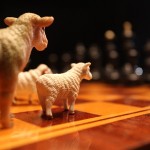 Animals Chess